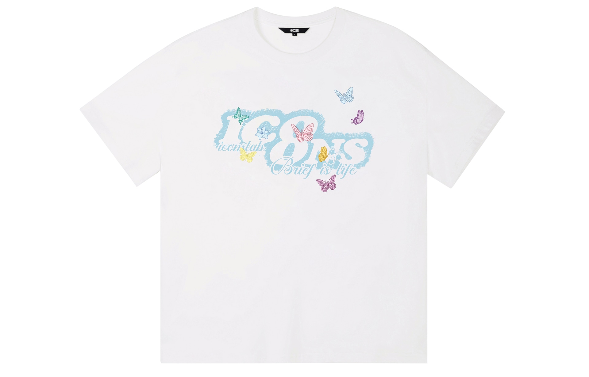 ICONS Lab ICS T