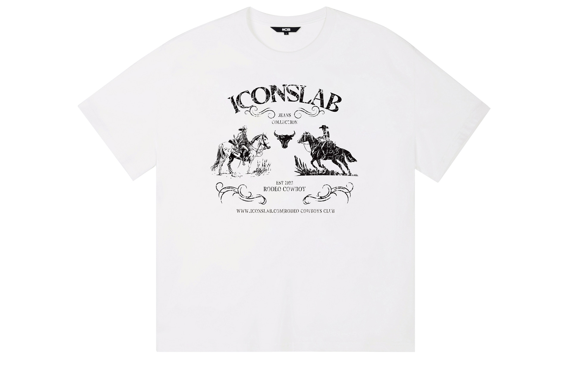 ICONS Lab ICS T