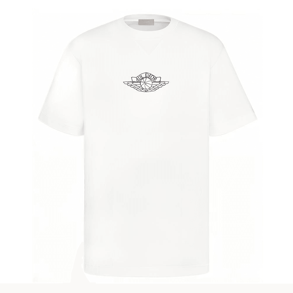 DIOR x jordan T