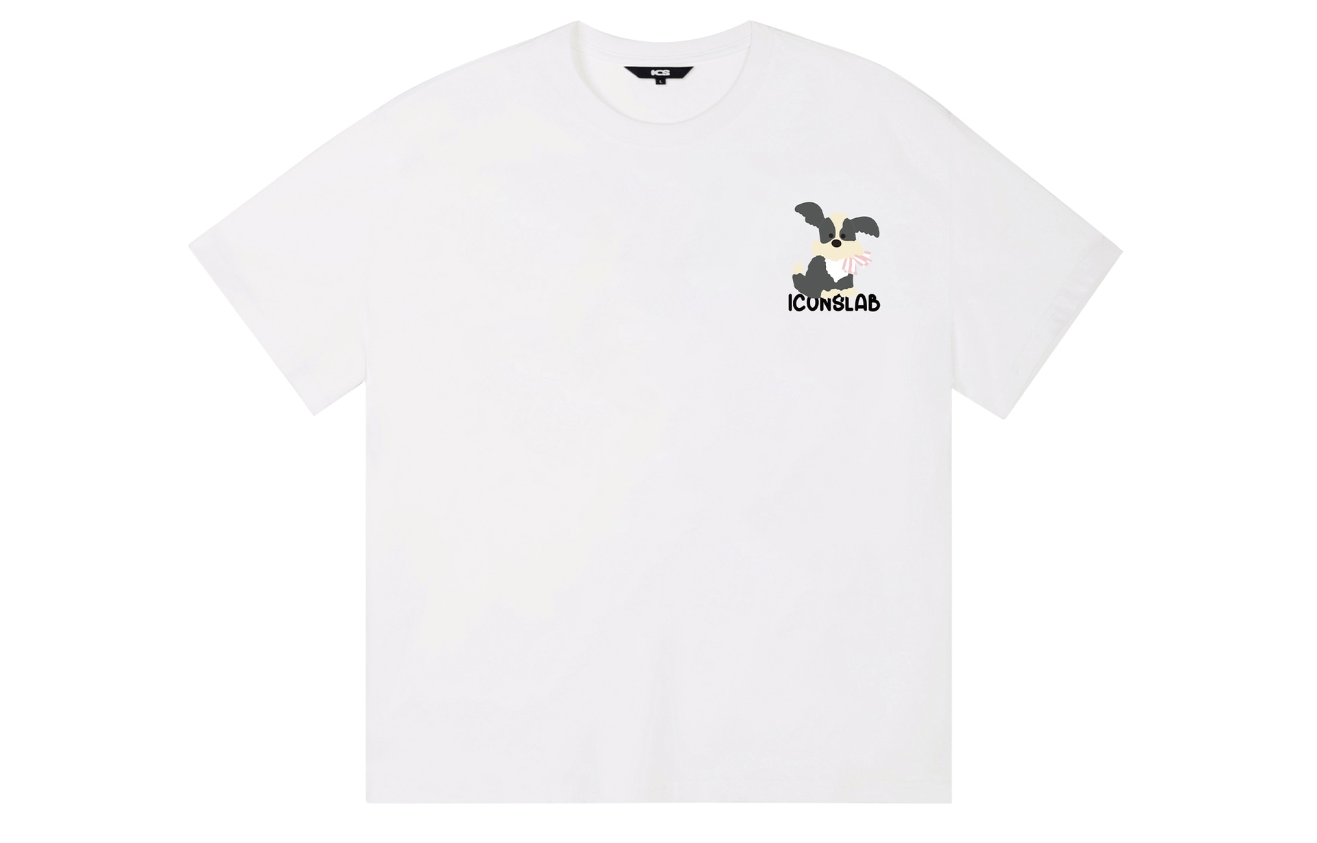 ICONS Lab ICS T