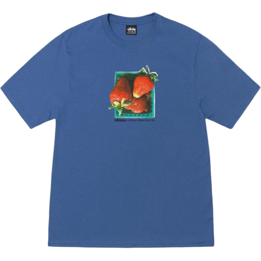 Stussy SS25 BERRIES TEE T