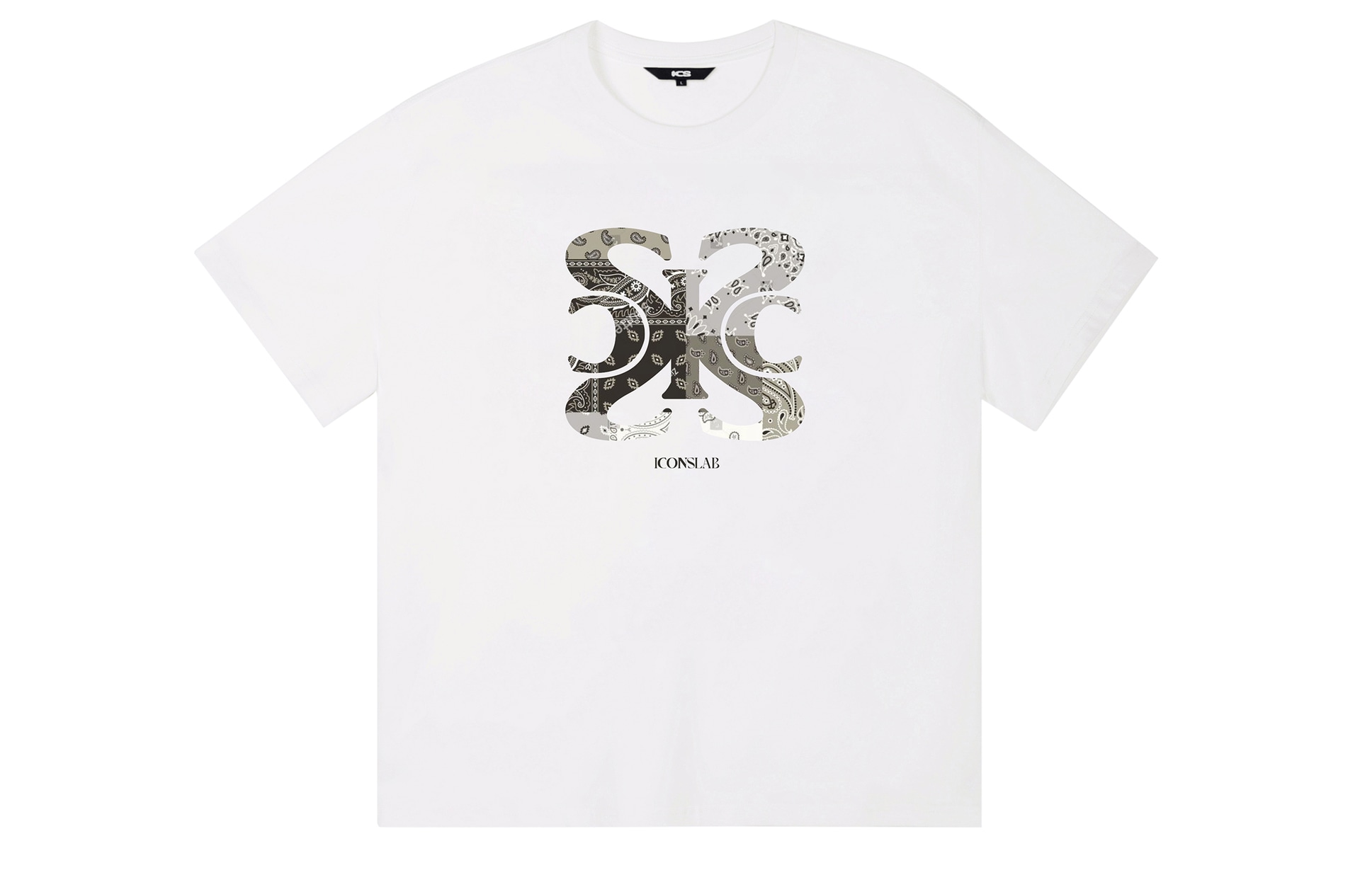 ICONS Lab