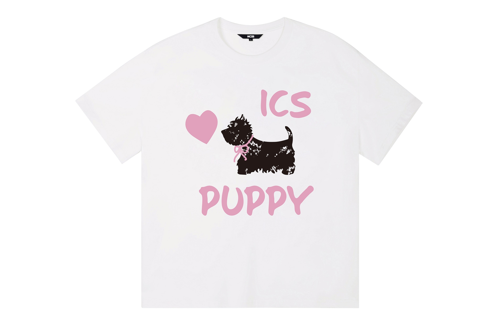 ICONS Lab ICS T