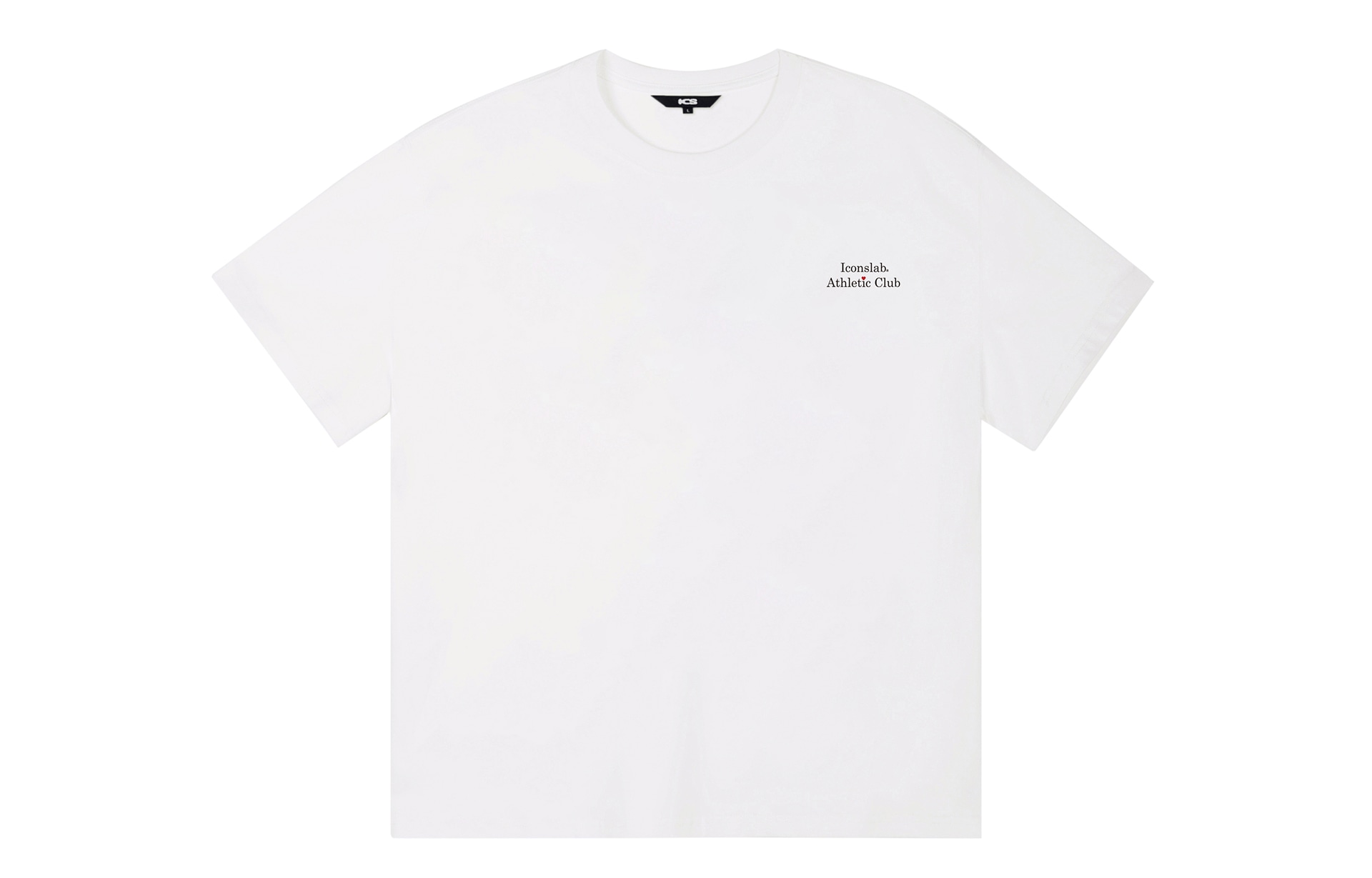 ICONS Lab ICS T