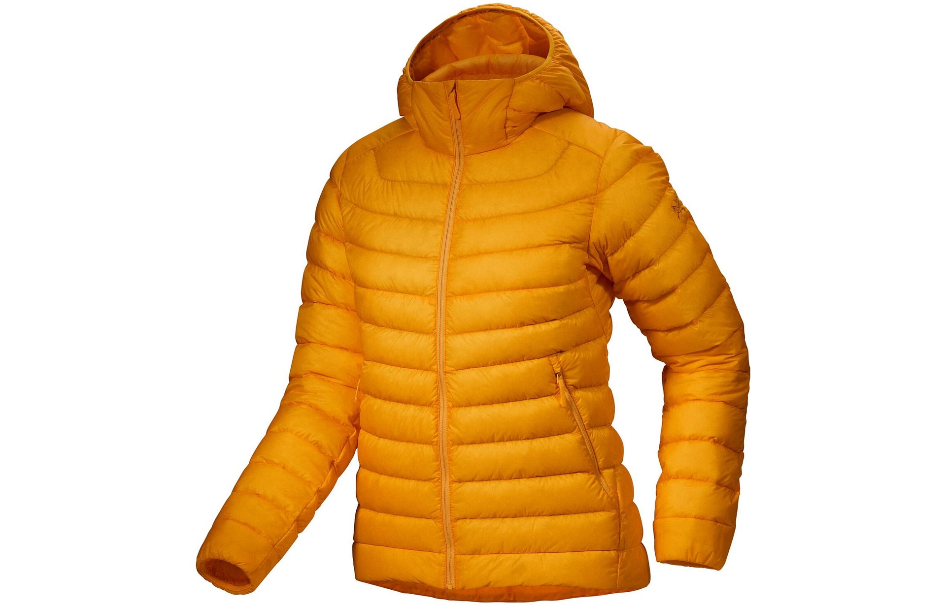 Arcteryx Cerium Hoody