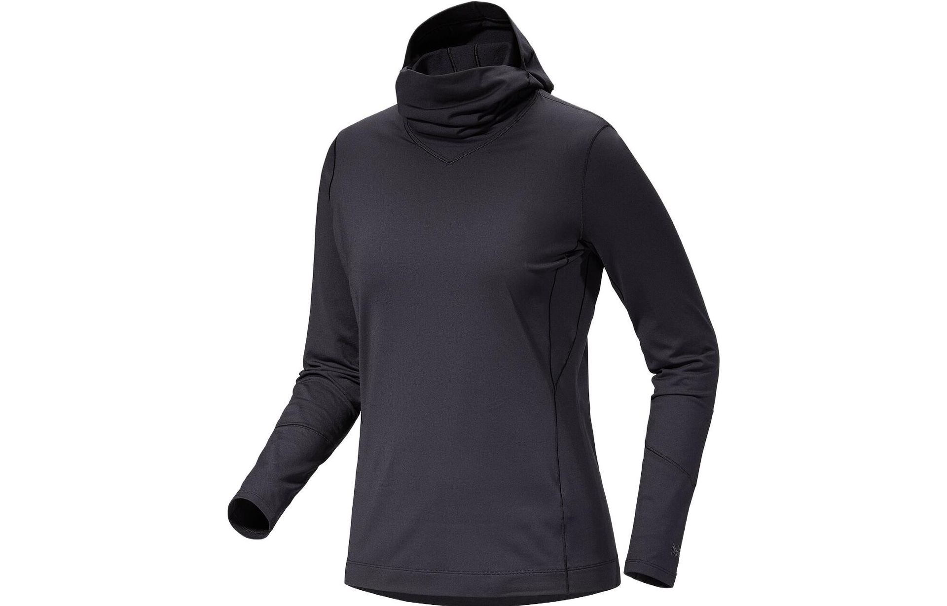 Arcteryx Rho Hoody