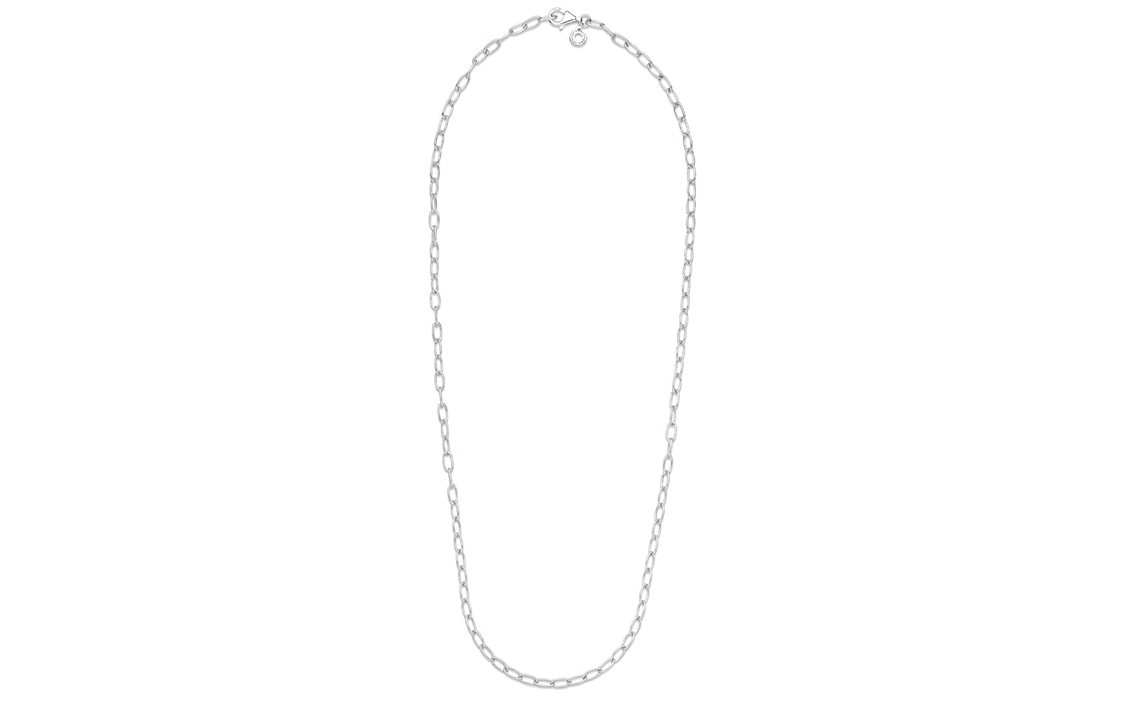 Pandora/潘多拉 Pandora 925 Silver Necklace