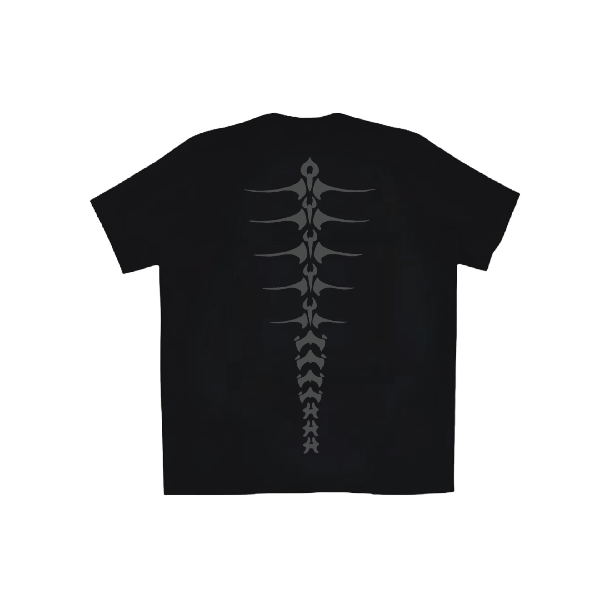 Arcteryx Arc'teryx Totem Tee