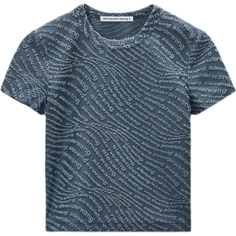 alexander wang FW25T