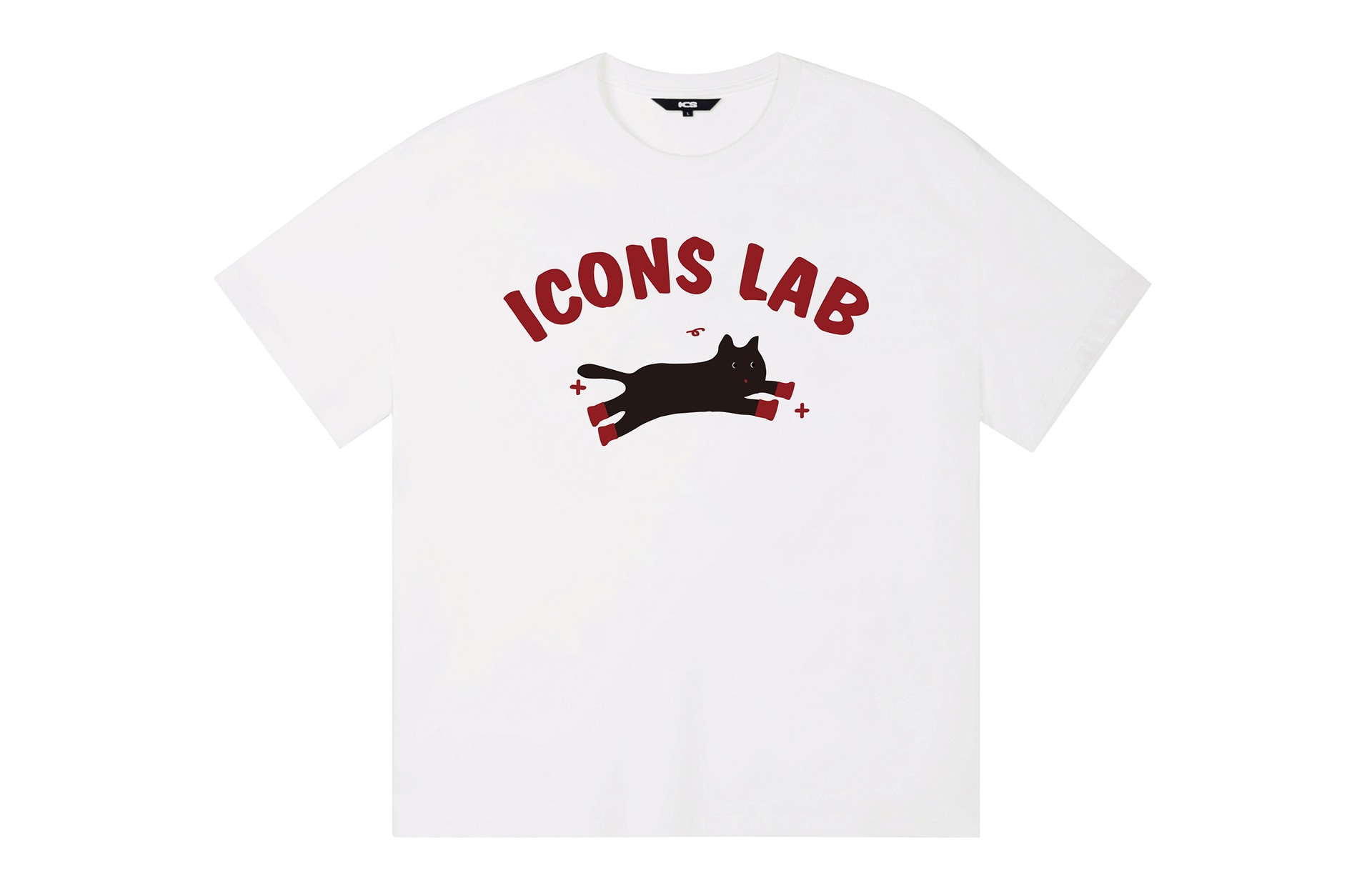 ICONS Lab ICS T