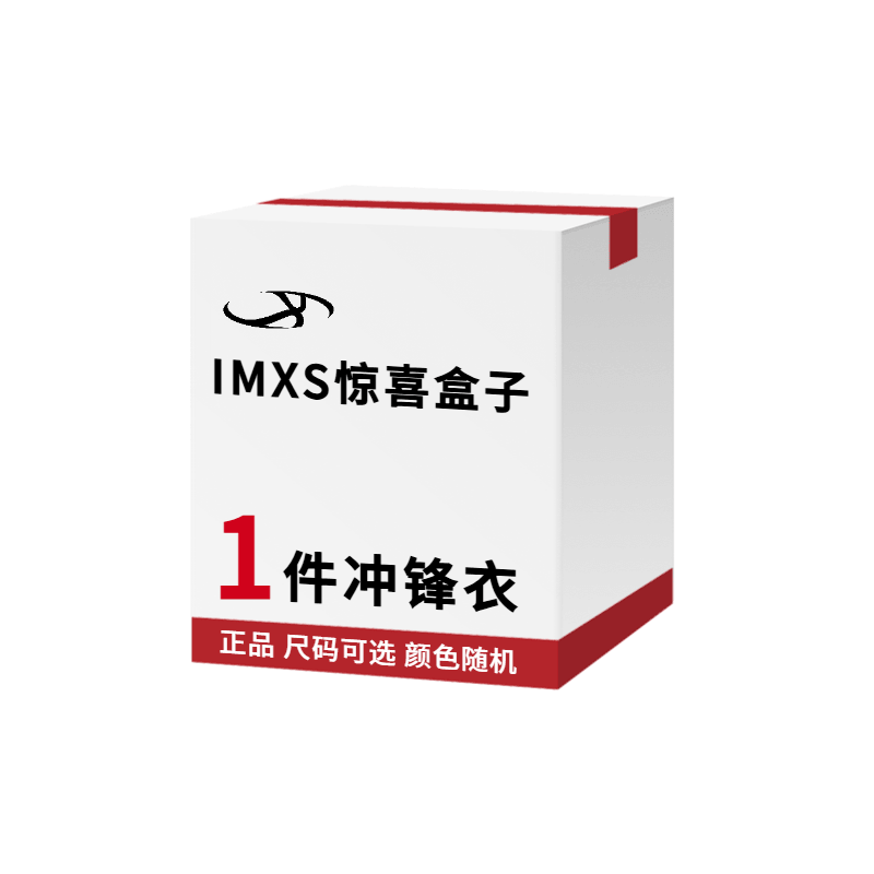 IMXS 1