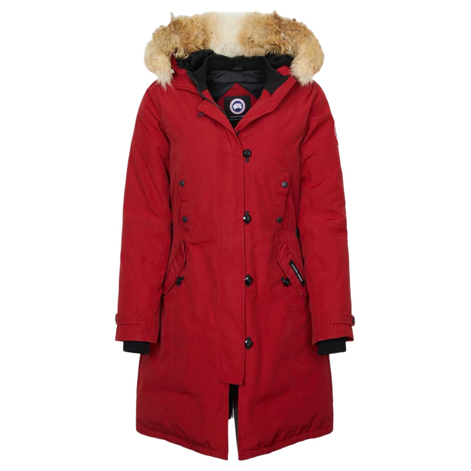 Canada Goose