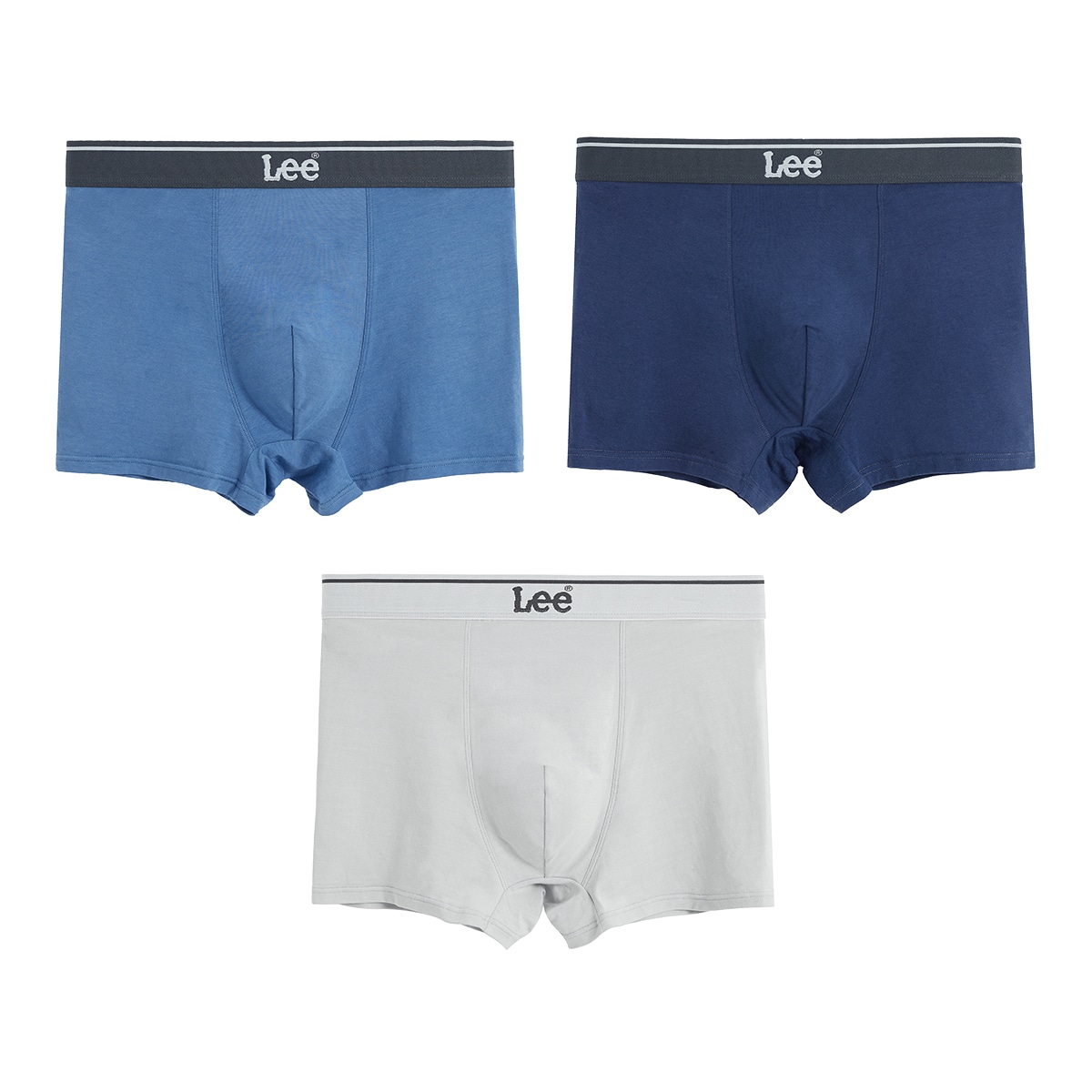 Lee 3