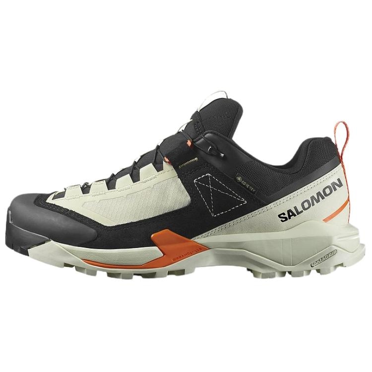 SALOMON/萨洛蒙 Salomon X Ultra Alpine GTX