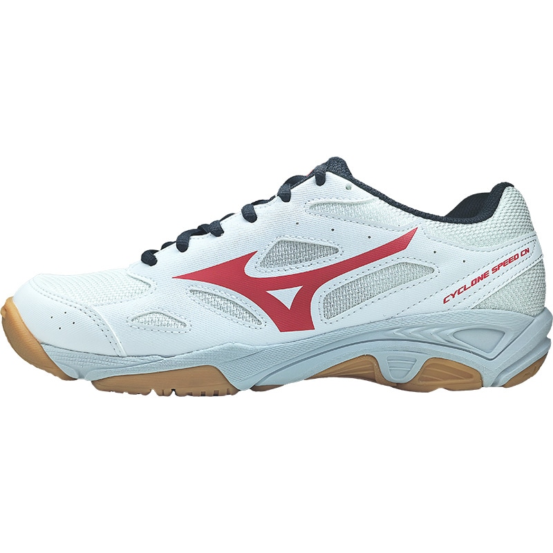 Mizuno