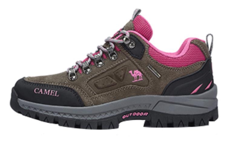 CAMEL骆驼 CAMEL