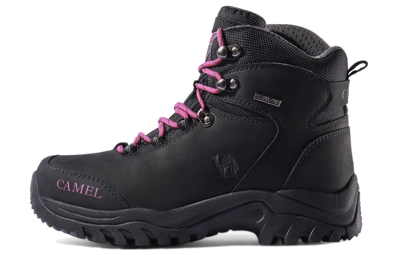 CAMEL骆驼 CAMEL