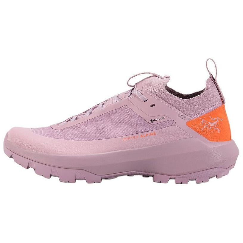 Arcteryx Vertex Alpine Gore-Tex