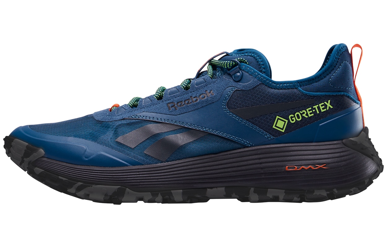 Reebok DMX Trail GTX Blue