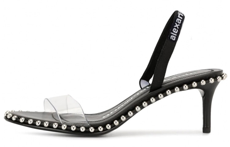alexander wang