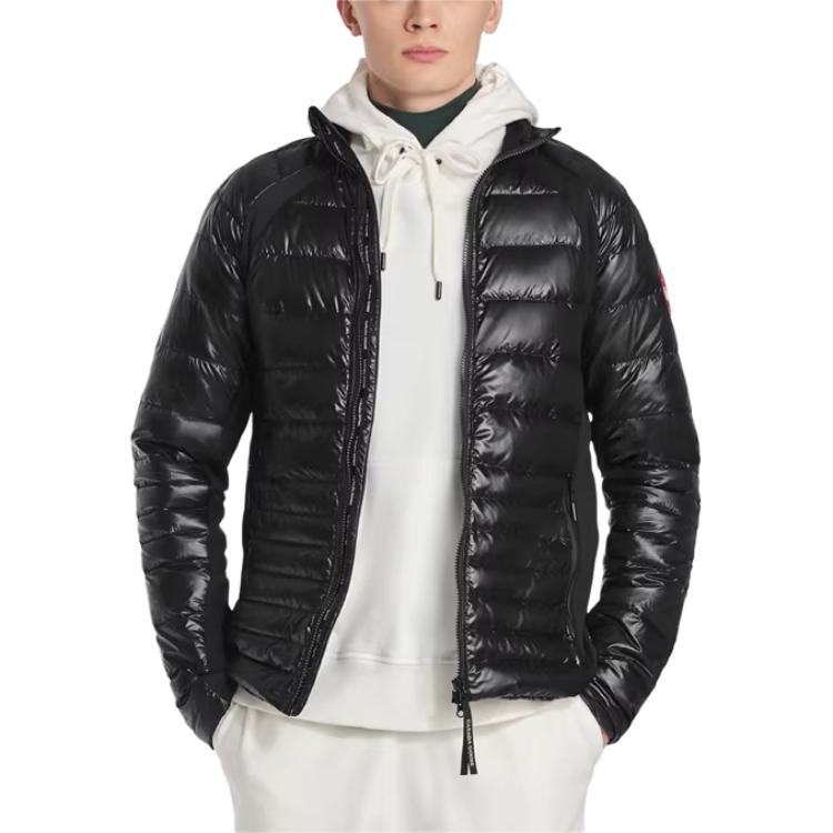 Canada Goose