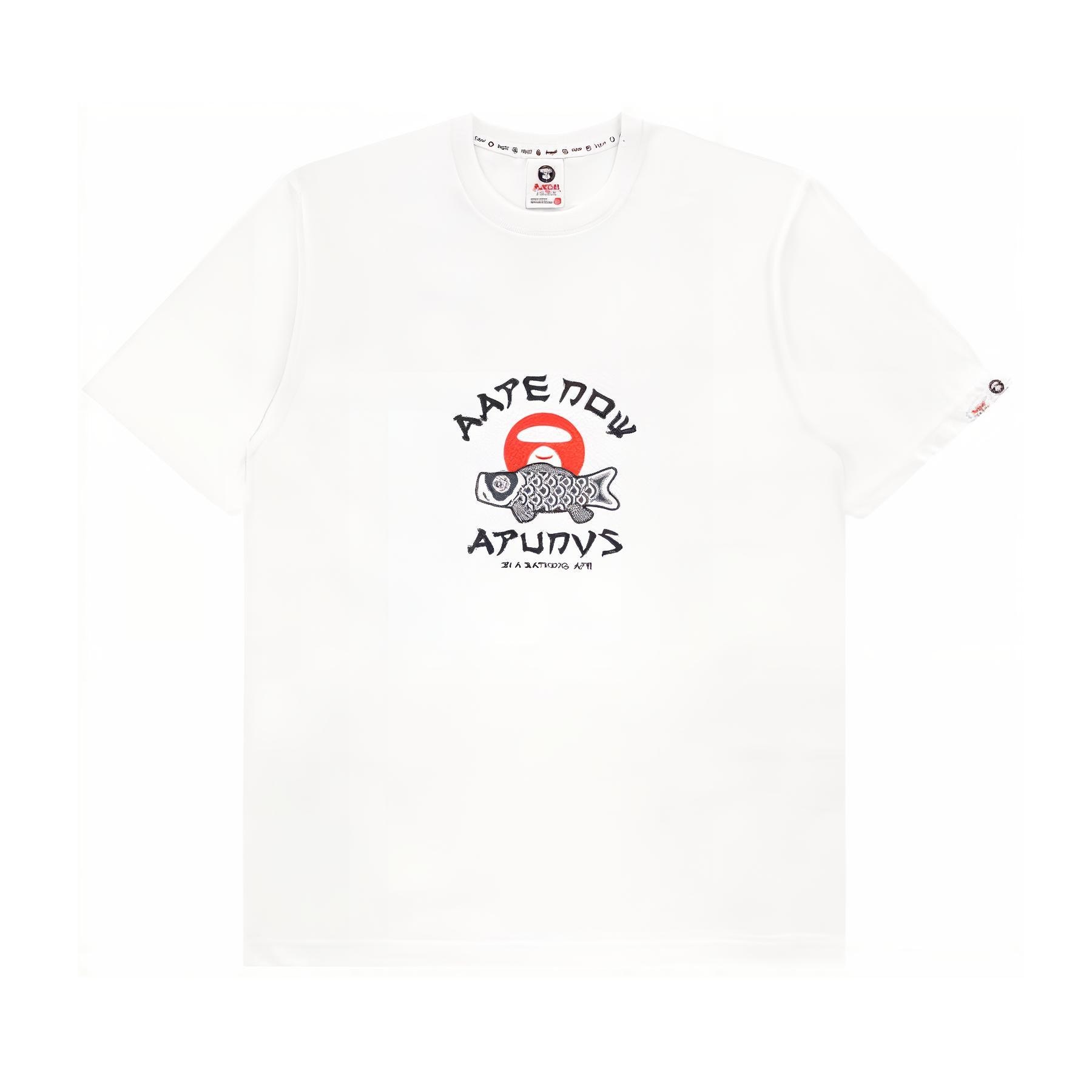 Aape T