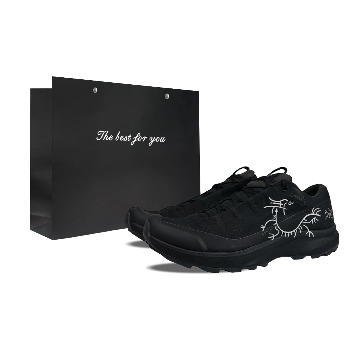 Arcteryx AERIOS FL GTX