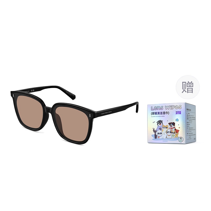 Calvin Klein Classic Sunglasses