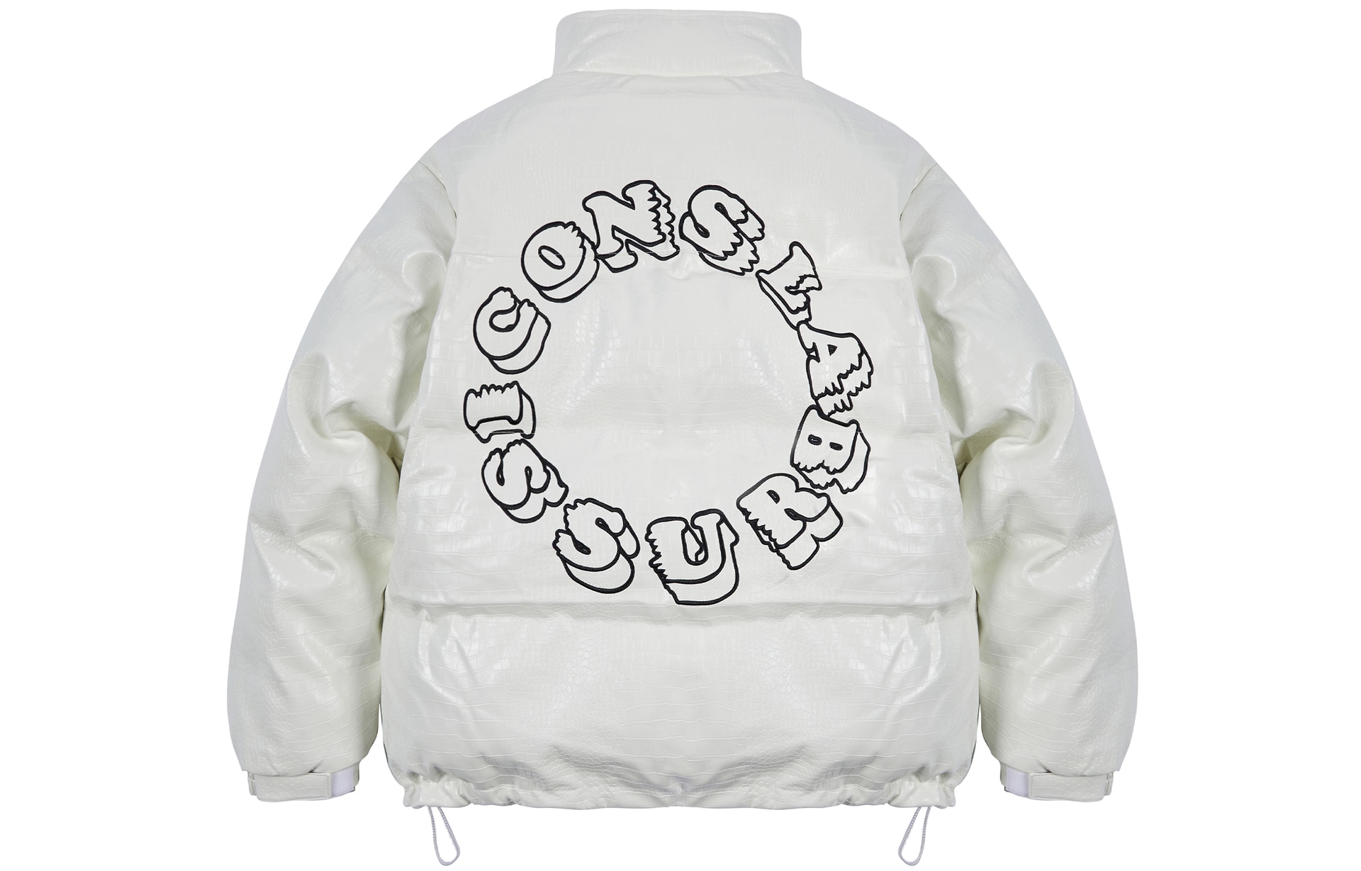 ICONS Lab Pu